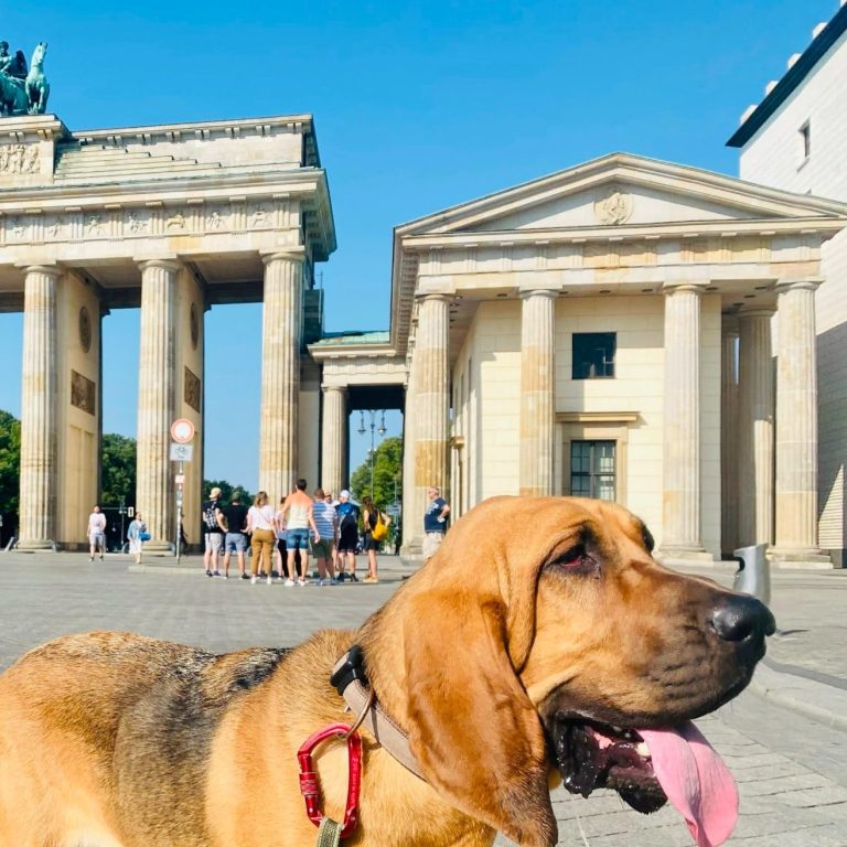 Unsere Trail-Szenarien sind so vielseitig wie die Hauptstadt selbst. Wir trainieren in den verschieden Berliner Bezirken.